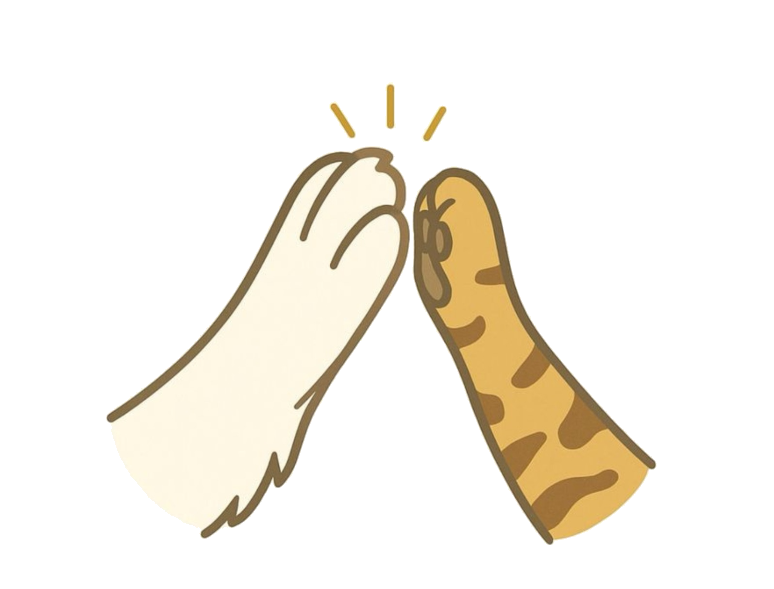 Logo Toque de Pata